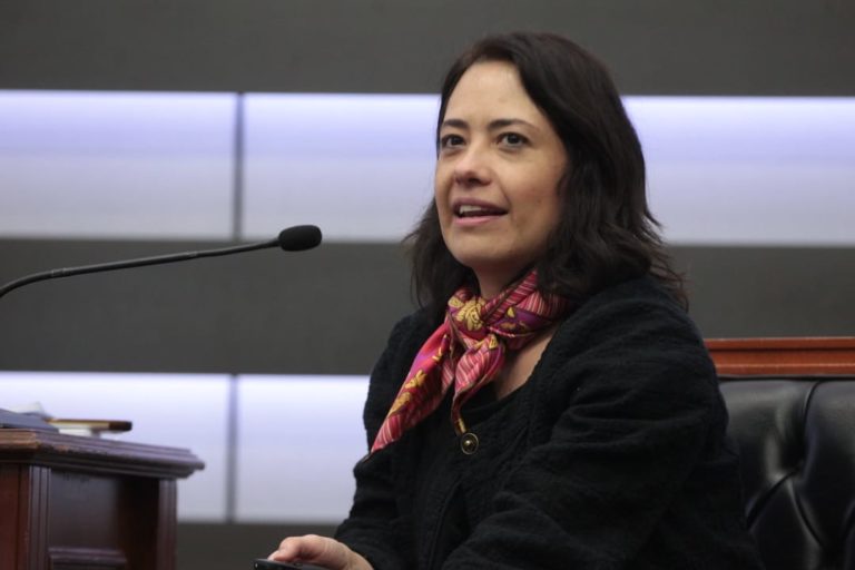 Fan Jua Rivas Maldonado  Coordinadora Operativa de la Unidad Técnica de Fiscalización del INE