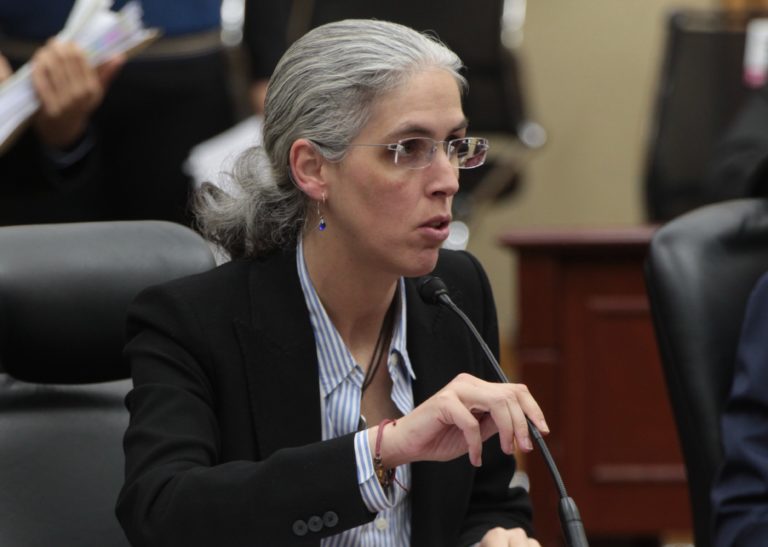 Pamela San Martín Ríos y Valles, Consejera Electoral.