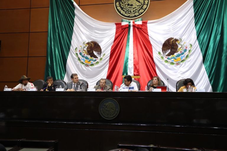 Lorenzo Córdova Vianello, Consejero Presidente del INE en la Presentación “Agenda Pendiente en materia de representación y participación política voces de los pueblos y comunidades indígenas de México”.