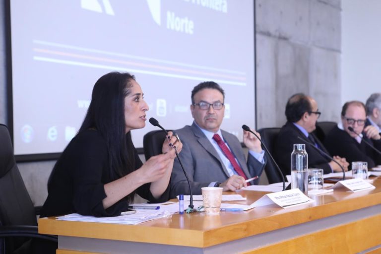 Mónica Maccise Duayhe Directora de la Unidad Técnica de Igualdad de Género y No discriminación del INE en el “Seminario: Baja California: dinámicas electorales y nuevos escenarios normativos Proceso Electoral Local 2018-2019”.
