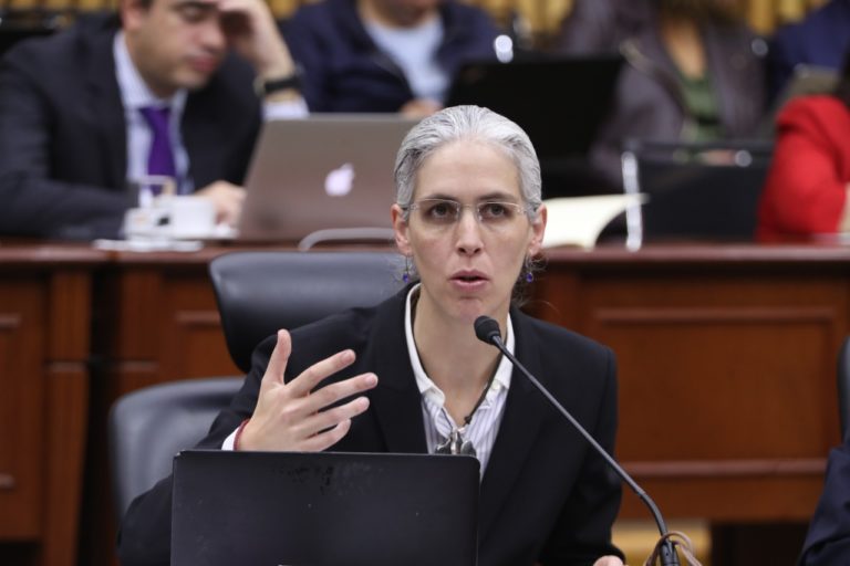 Pamela San Martín Ríos y Valles, Consejera Electoral.