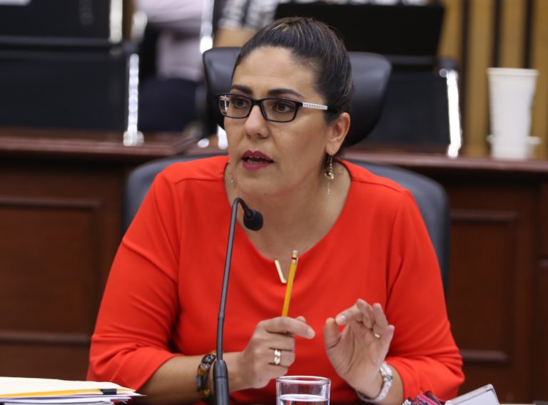 Claudia Zavala Pérez, Consejera Electoral.