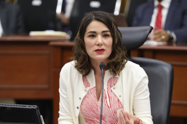 Dania Ravel Cuevas, Consejera Electoral.