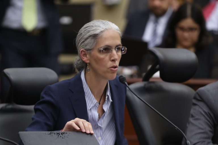 Consejera Electoral Pamela San Martín