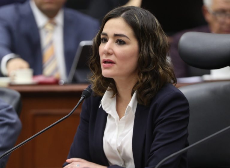 Dania Ravel Cuevas, Consejera Electoral.