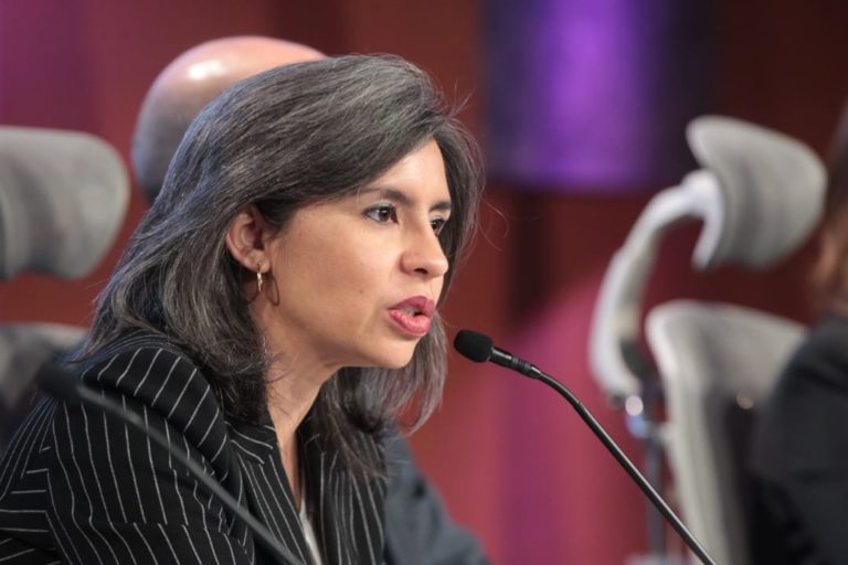 María Wendy Briceño Zuloaga, Presidenta de la Comisión de Igualdad de Género de la Cámara de Diputados LXVI Legislatura.