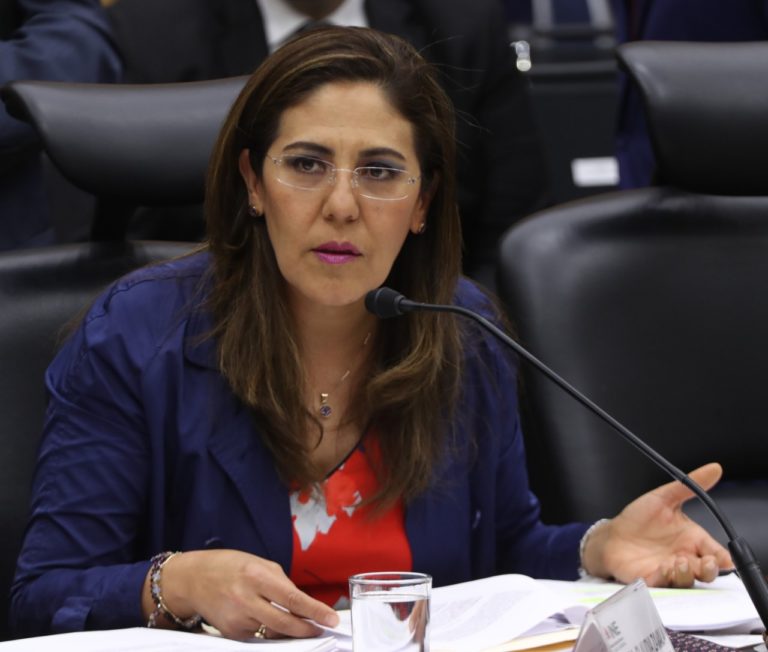 Consejera Electoral Claudia Zavala