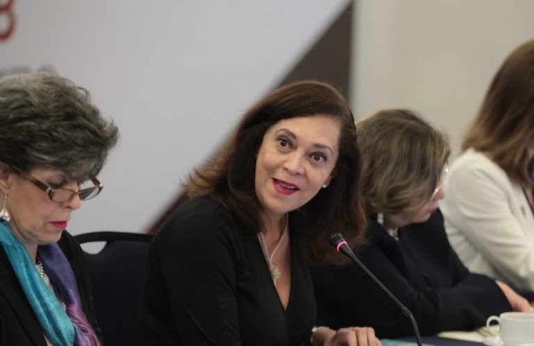 Adriana Favela Herrera, Consejera Electoral