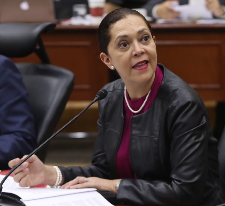 Consejera Electoral Adriana Favela