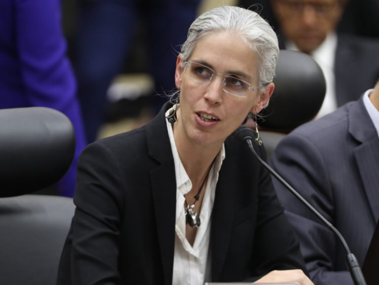 Pamela San Martín Ríos y Valles, Consejera Electoral.