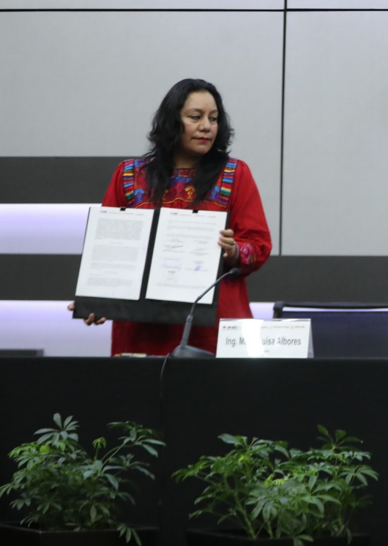 María Luisa Albores González, Secretaria del Bienestar.