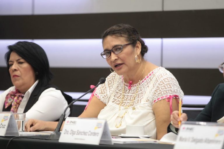 Rosalba Valencia Cruz, Diputada Presidenta de la Comisión de derechos de la niñez y la adolescencia.