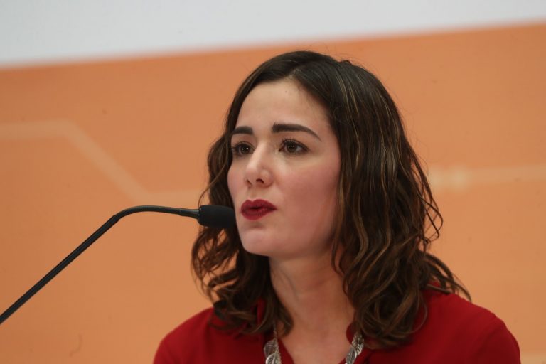 Dania Ravel Cuevas, Consejera Electoral INE, México.