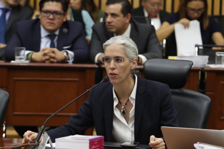 Pamela San Martín Ríos y Vallles, Consejera Electoral