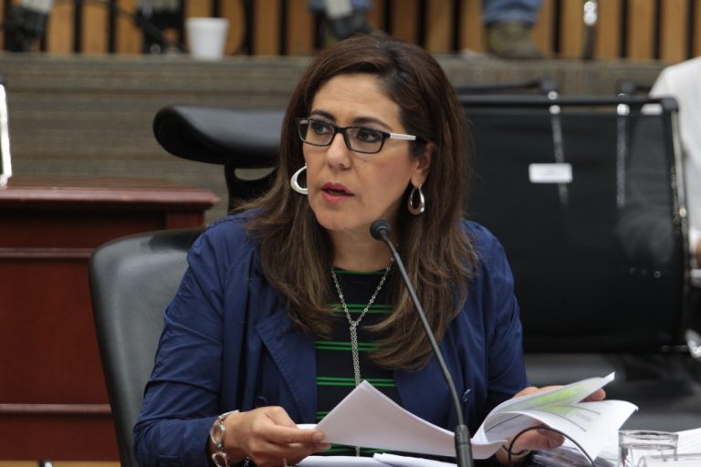Claudia Zavala Pérez, Consejera Electoral.
