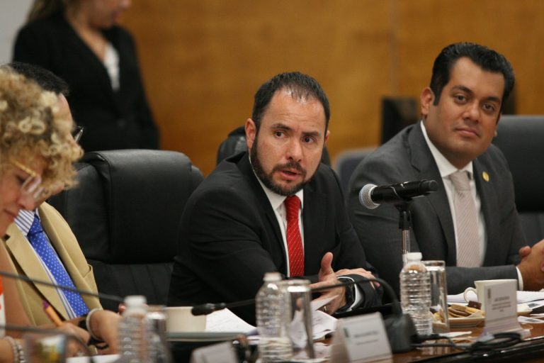 Gabriel Mendoza Elvira Director Jurídico del INE