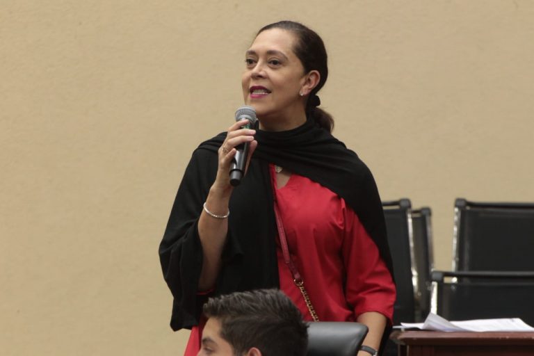 Adriana Favela Herrera, Consejera Electoral en la prueba piloto de la Integración por niñas y niños, del Consejo de Participación en el INE.