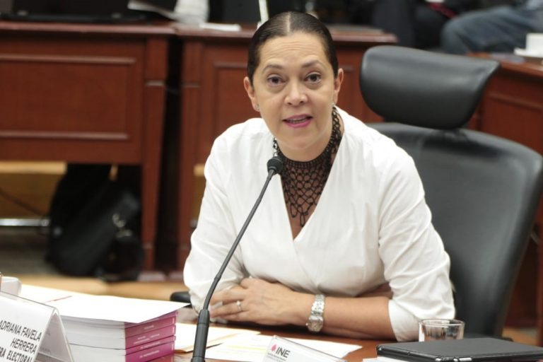 Consejera Electoral Adriana Favela.