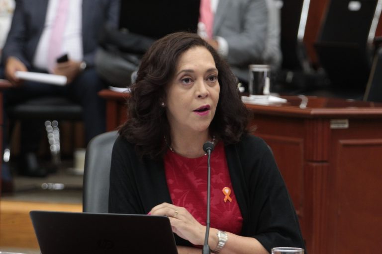 Adriana Favela Herrera, Consejera Electoral.