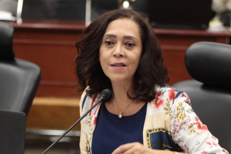 Adriana Favela Herrera, Consejera Electoral.