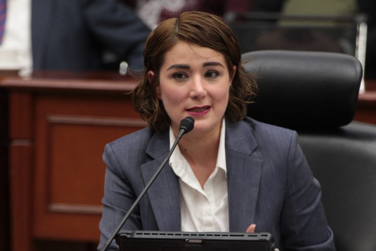 Dania Ravel cuevas, Consejera Electoral.