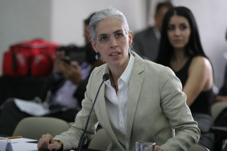 Pamela san Martín Ríos y Valles, Consejera Electoral.