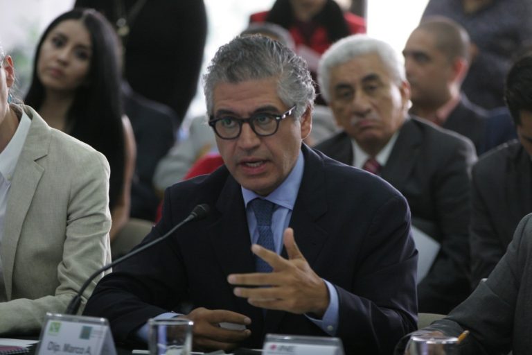 Marco Antonio Gómez, (PVEM).