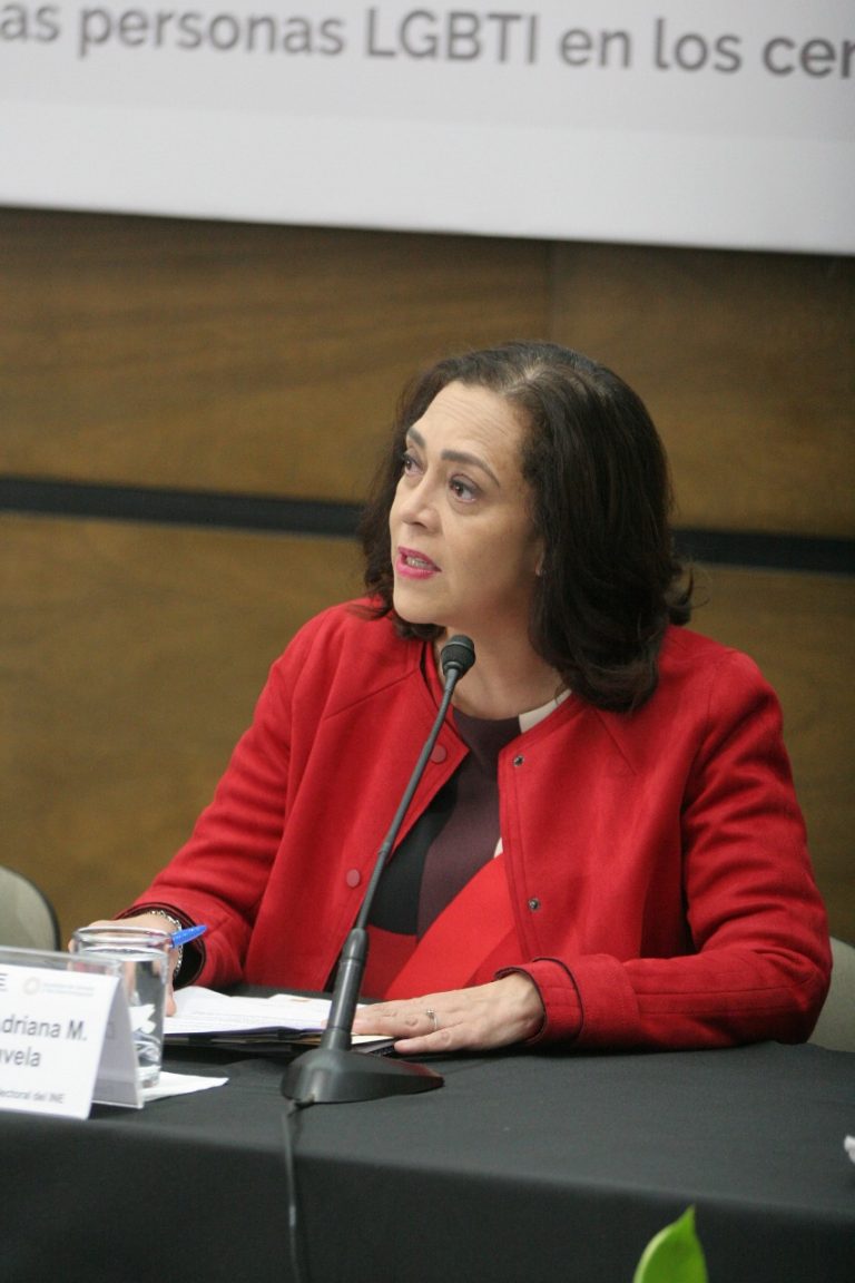 Adriana Favela Herrera, Consejera Electoral del INE.