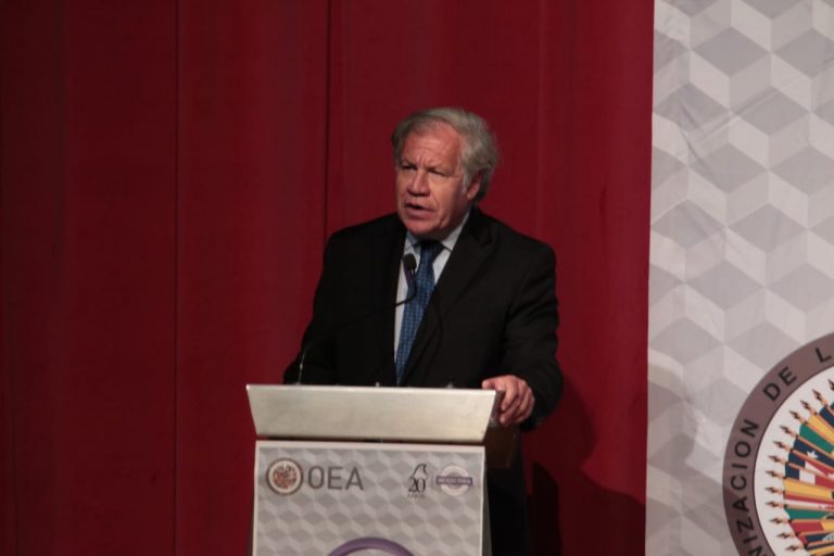 Luis Almagro Lemes, Secretario General de la OEA