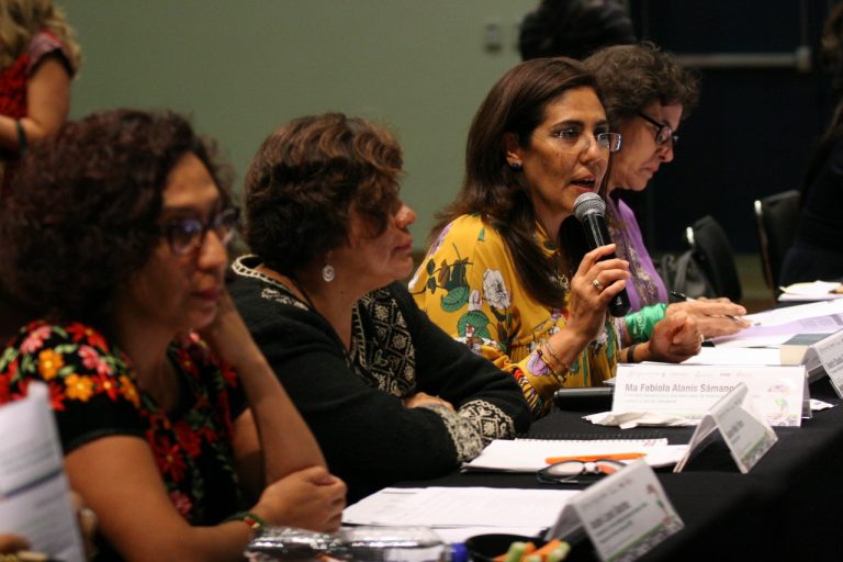 Tercer Encuentro  de Observatorios Locales de Participación Política de las Mujeres.