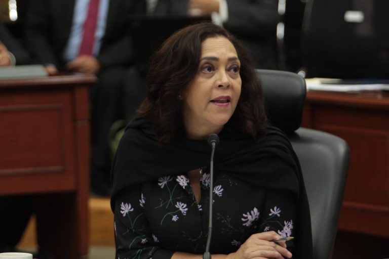 Adriana Favela Herrera, Consejera Electoral.