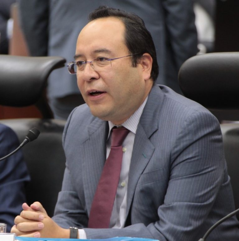 Ciro Murayama Rendón, Consejero Electoral.