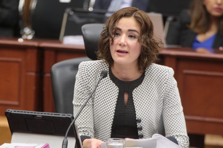 Dania Ravel Cuevas, Consejera Electoral.