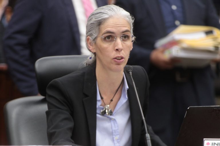 Pamela San Martín Ríos y Valles, Consejera Electoral.