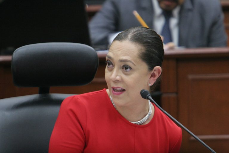 Adriana Favela Herrera, Consejera Electoral.