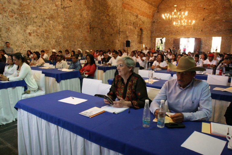 Diálogos sobre participación y representación política desde la perspectiva intercultural