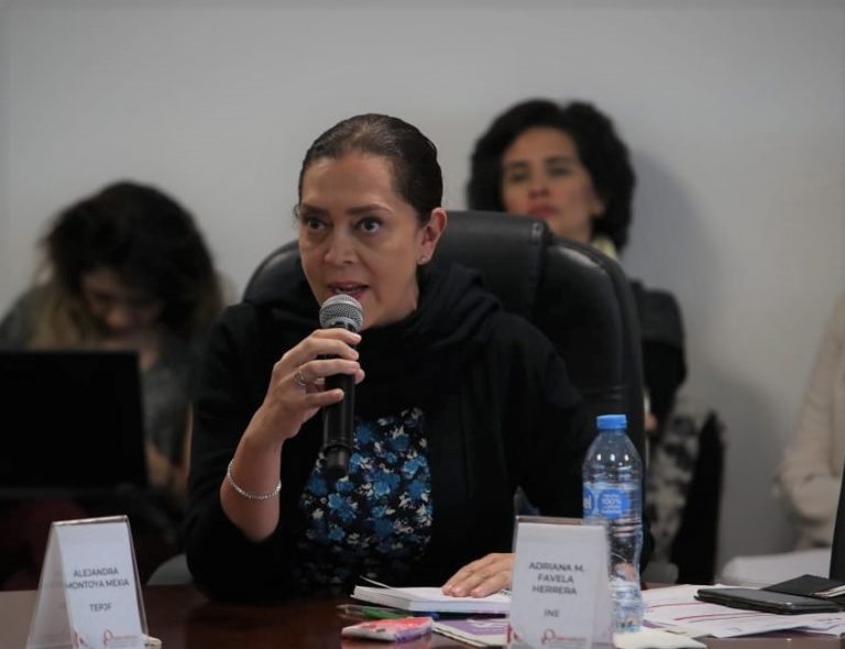 Adriana Favela Herrera, Consejera Electoral del INE.