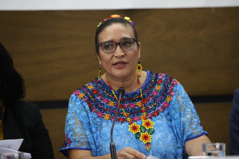 Rosa Valencia Cruz, Presidenta de la Comisión de los derechos de la niñez y de la adolescencia de la Cámara de diputados.