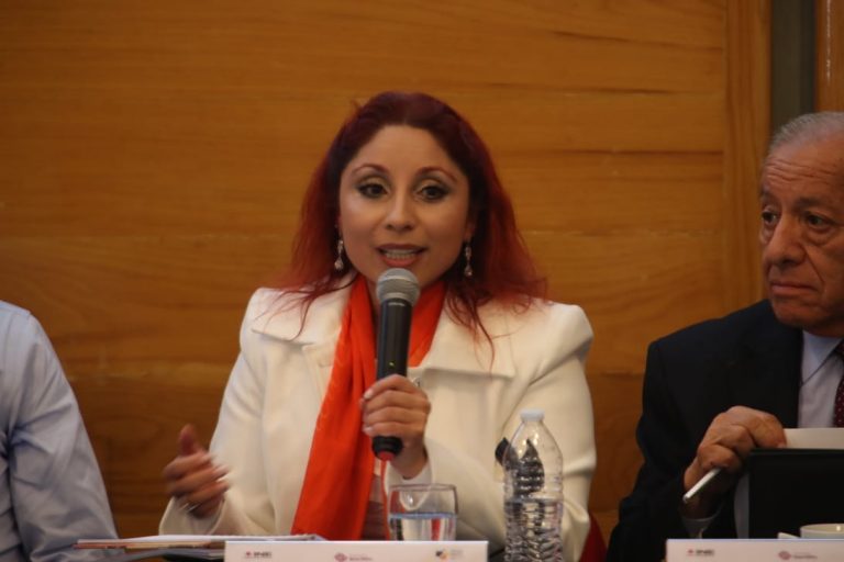 Fabiola Freire, directora de la carrera de Administración Pública en la Facultad de Gobierno de la Universidad Central de Chile.