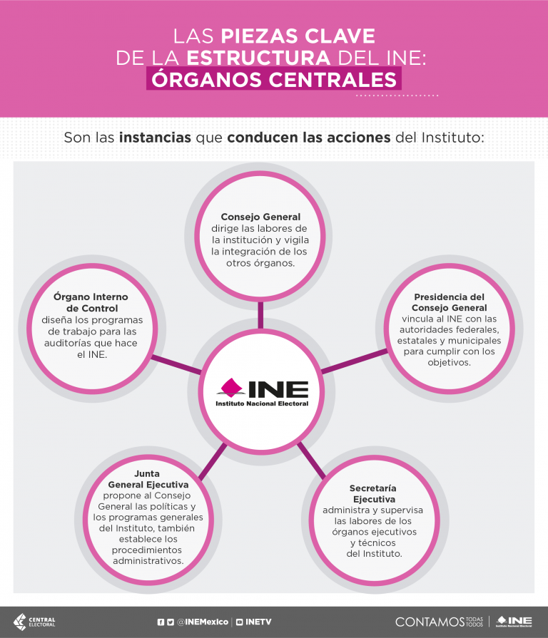 Los Órganos Centrales Del INE Son Las Instancias Que Conducen Las ...