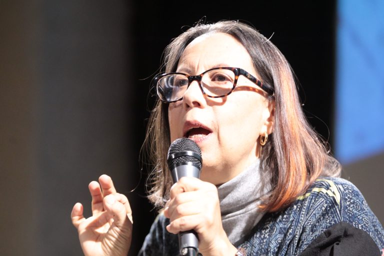 Marcela Romero, Escritora de El Universo Robado