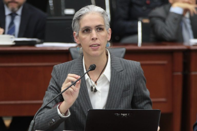 Pamela San Martín Ríos y Valles, Consejera Electoral.