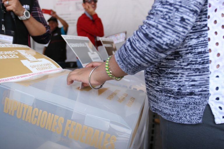 Stand de Simulacro de votación, credencial, urnas y  libros colección árbol