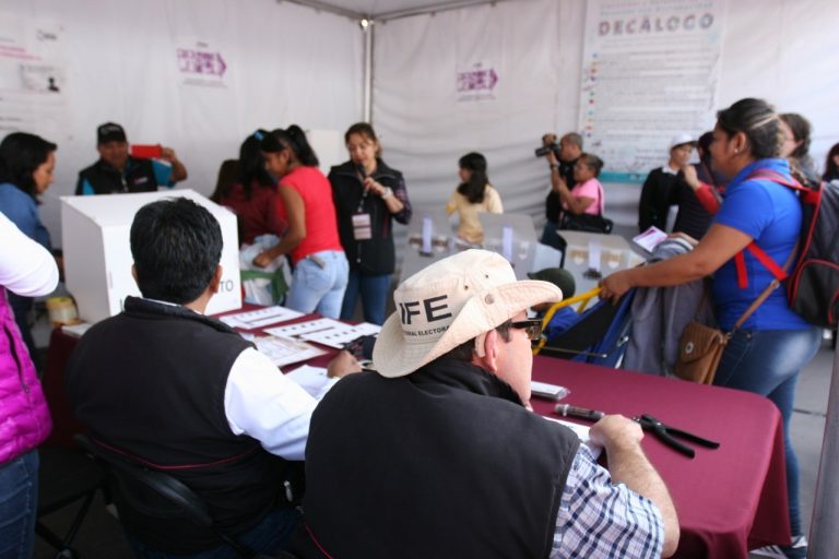 Stand de Simulacro de votación, credencial, urnas y  libros colección árbol