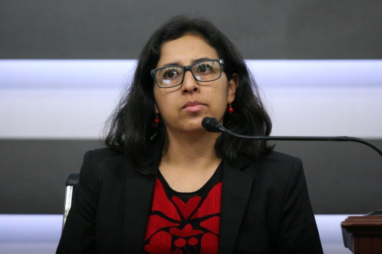 Elisa Gómez Sánchez, Coordinadora de Diálogo Político de la Fundación Friedrich Ebert Stiftung en México.