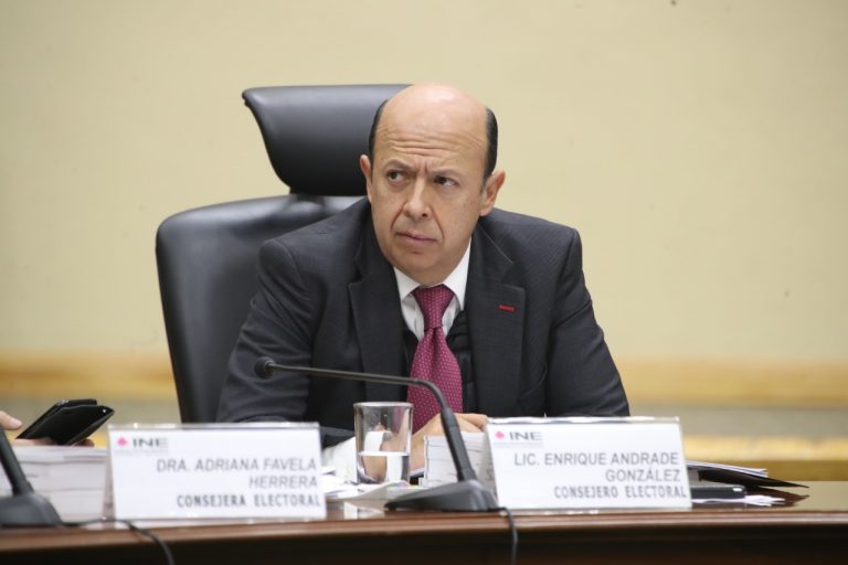 Enrique Andrade González, Consejera Electoral.