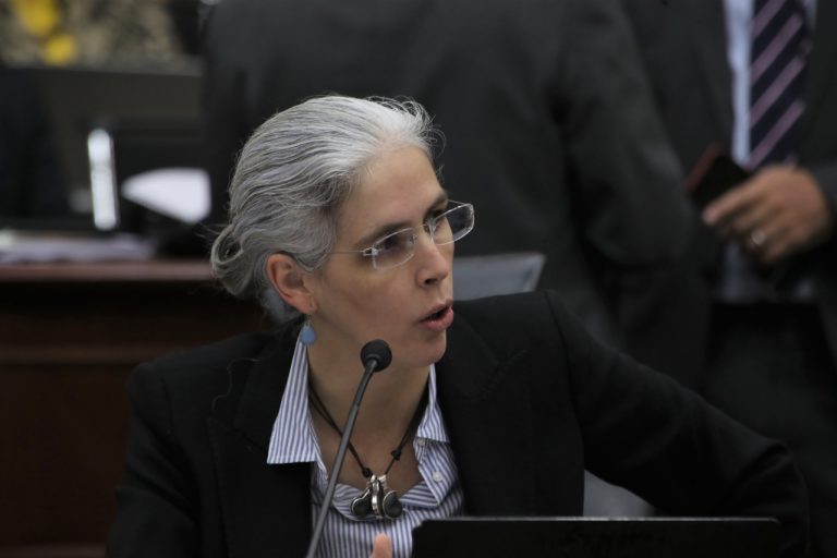 Pamela San Martín Ríos y Valles, Consejera Electoral.