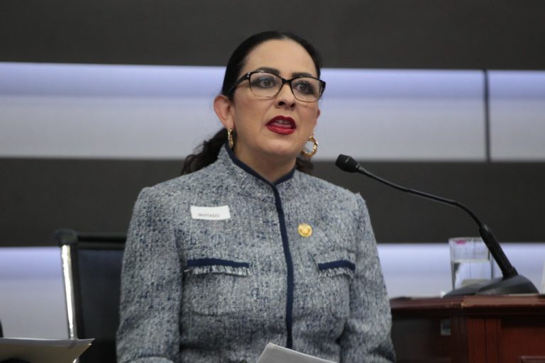 Lizabeth Ana María Marquez Álvarez, Presidenta de la Comisión de Asuntos Migratorios, Cámara de Diputados.