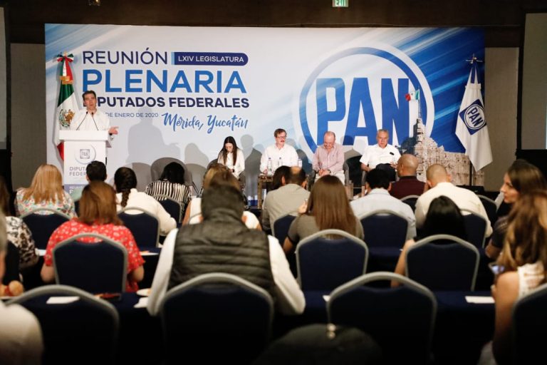 Lorenzo Córdova Vianello, Consejero Presidente del INE en la Reunión Plenaria de Diputados Federales  del PAN.