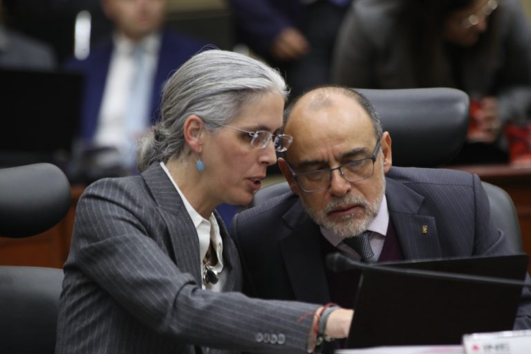 Consejera y Consejero  Electoral Pamela San Martín y Jaime Ribera